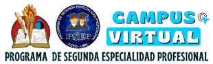 Página Principal | Campus Virtual | PSEP